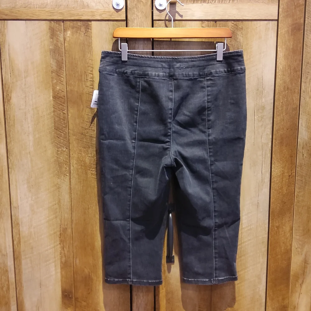 FREE PEOPLE We The Free Carousel Pull-On Capri Jeans NWT - Picture 8 of 14